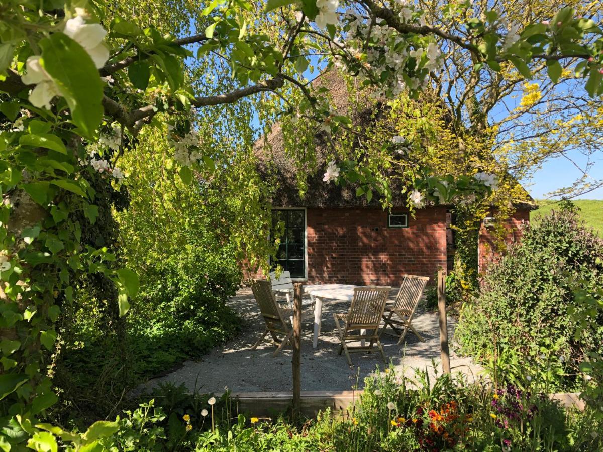 Haus Kaethe Am Deich Villa Balje Bagian luar foto